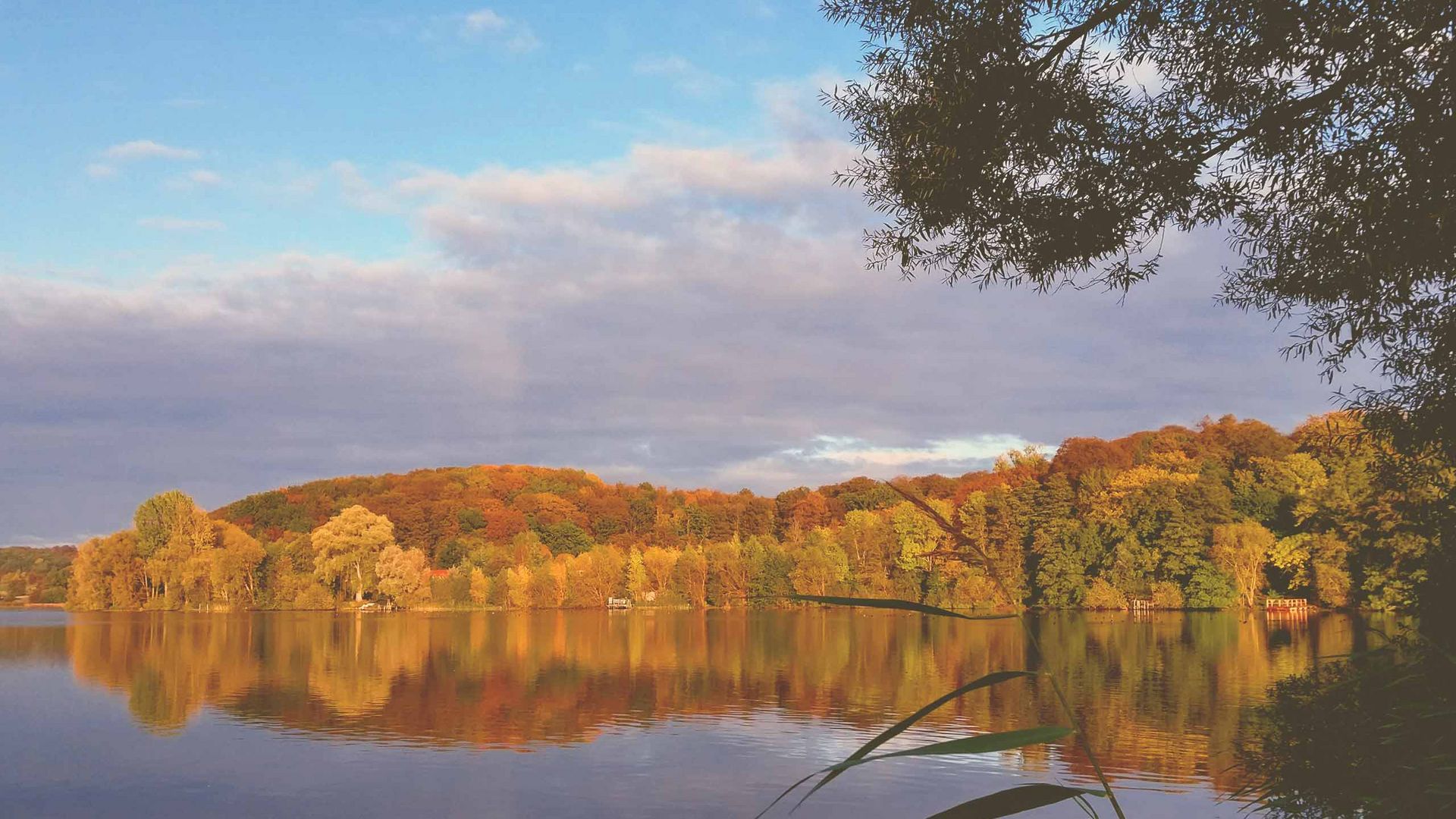 Plön im Herbst am Trammer See