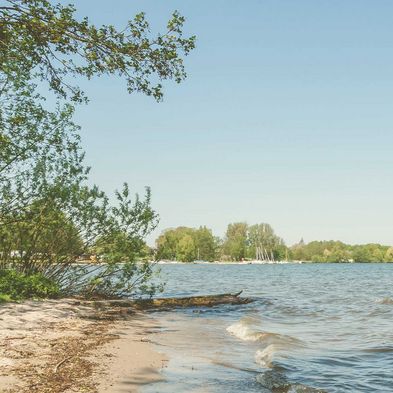 Die Badestelle am Großen Plöner See in Dersau