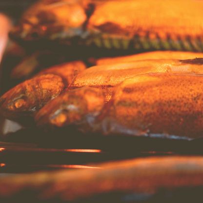 Fisch auf dem Plöner Wochenmarkt