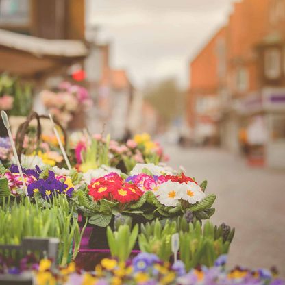 Ein Wochenmarktstand mit frischen Blumen.