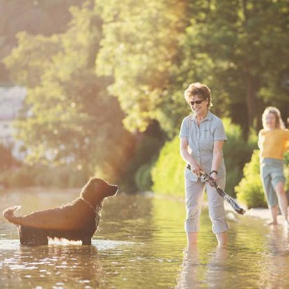 Ein Frauchen spielt mit ihrem Hund im See