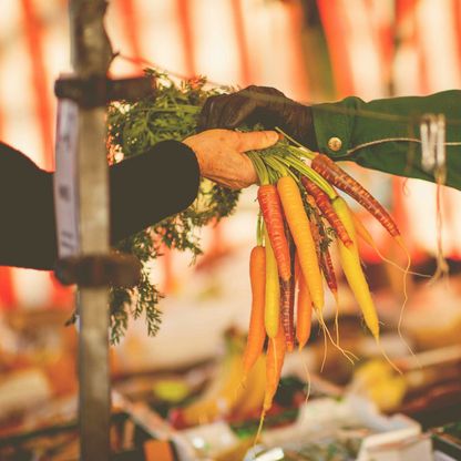 Gemüseverkauf beim Plöner Wochenmarkt