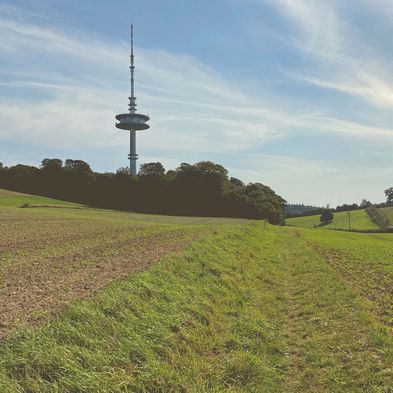 Der Bungsberg mit dem Fernmeldeturm.