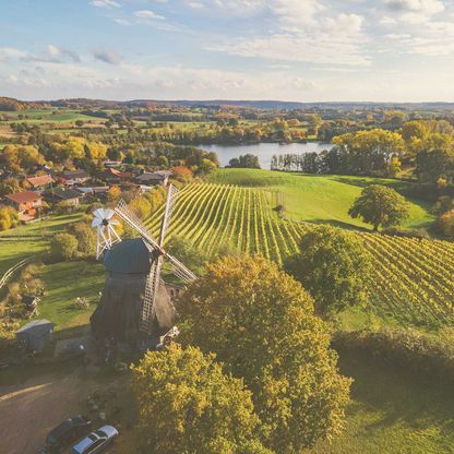 Ein Ausblick über Weinberge, eine Mühle und im Hintergrund ein See.