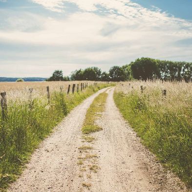 Die Feld-, Wald- und Seenlandschaft durch die Natur bietet perfekte Voraussetzungen für einen Wanderurlaub in Bosau