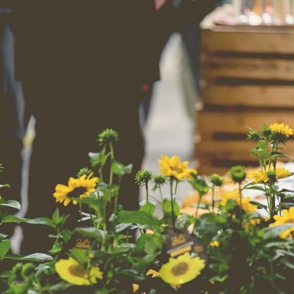 Verkauf von Blumen beim Malenter Bauernmarkt